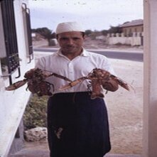 ReemaosaAfsas's profile picture. صديقاتي يالملقاحبكن اجد))