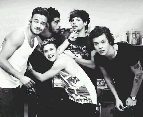 Vendo dos entradas para el Where We Are Tour de One Direction 2014 en Madrid. Día 10/7. Teloneros: 5SOS y AM