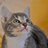 Jenny_Nolan_'s profile image