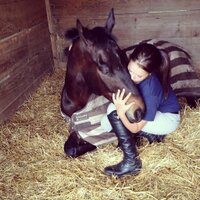 Blair Nicol (@blairnicol) 's Twitter Profile