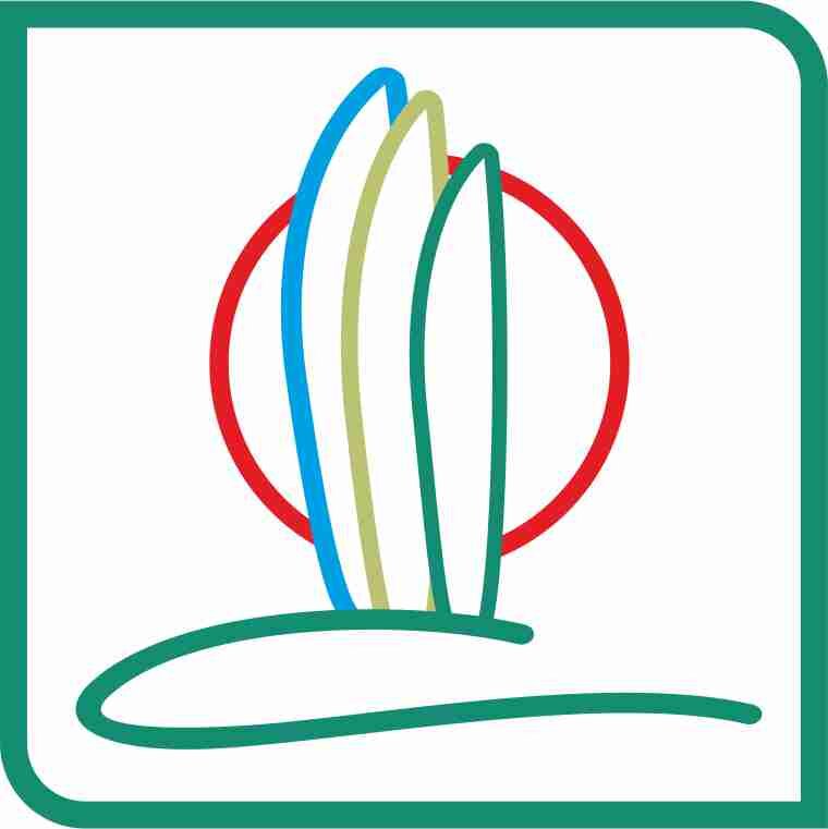 Realizziamo giardini, siamo specializzati in giardini pensili, tetti verdi, piscine e irrigazione.