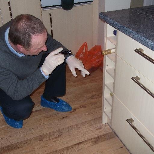 For all your pest solutions.covering north London Hertfordshire,bedfordshire,buckinghamshire. Moles.glisglis removal a speciality