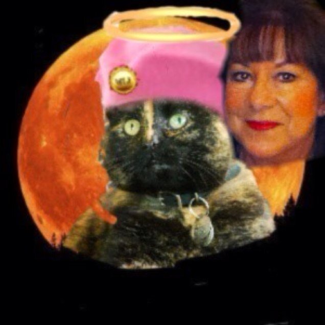 Former semi-feral, grateful rescue.OTRB march 28 2014 Multilingual Moggy.Named for GODDESS Significant other Skeeterthetabby.WLF,TLOA.Pawtilism artwork on Etsy