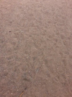 a541441's profile picture. 