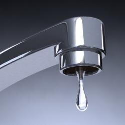 A Showcase of Society's Drips