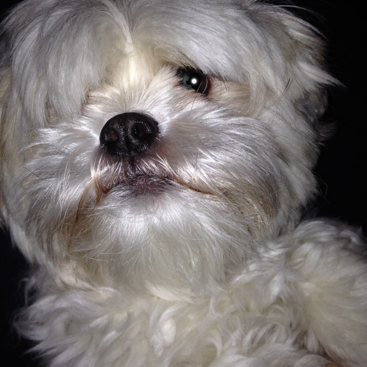 TheBB_Cakes's profile picture. Love my life! Dreams come true! Love TWD! ( Thanks to my Best Guy❤️) Checked in #Bates Motel