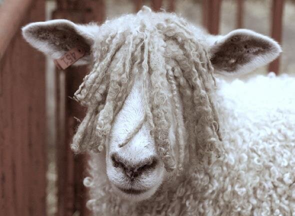 ElsaSuchanek's profile picture. 