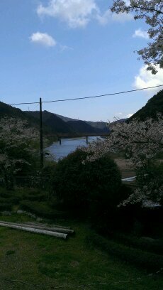 志度 高知 名古屋 横浜