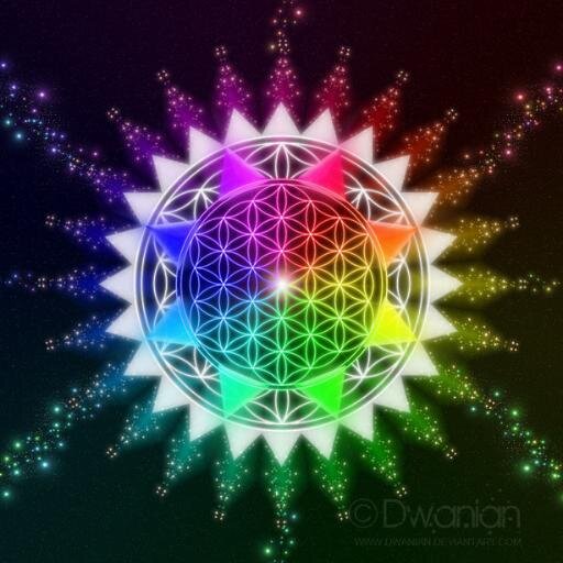 0xnet's profile picture. 