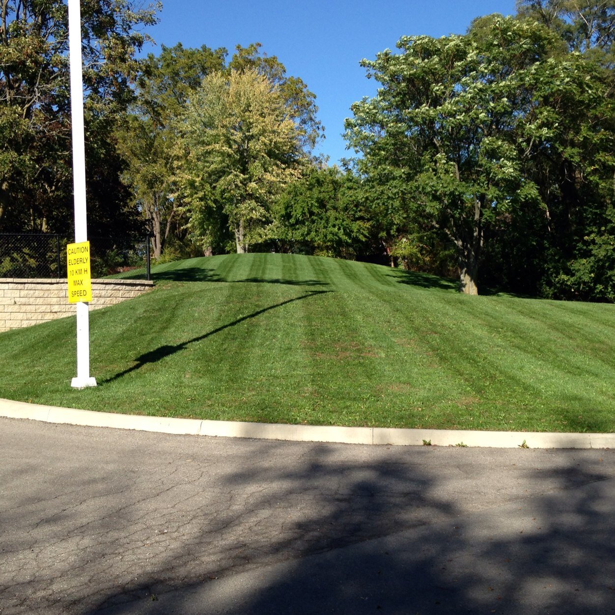 ttslote's profile picture. Hamilton , Ontario Landscaper, business owner, being creative with landscape jobs

905-746-3161