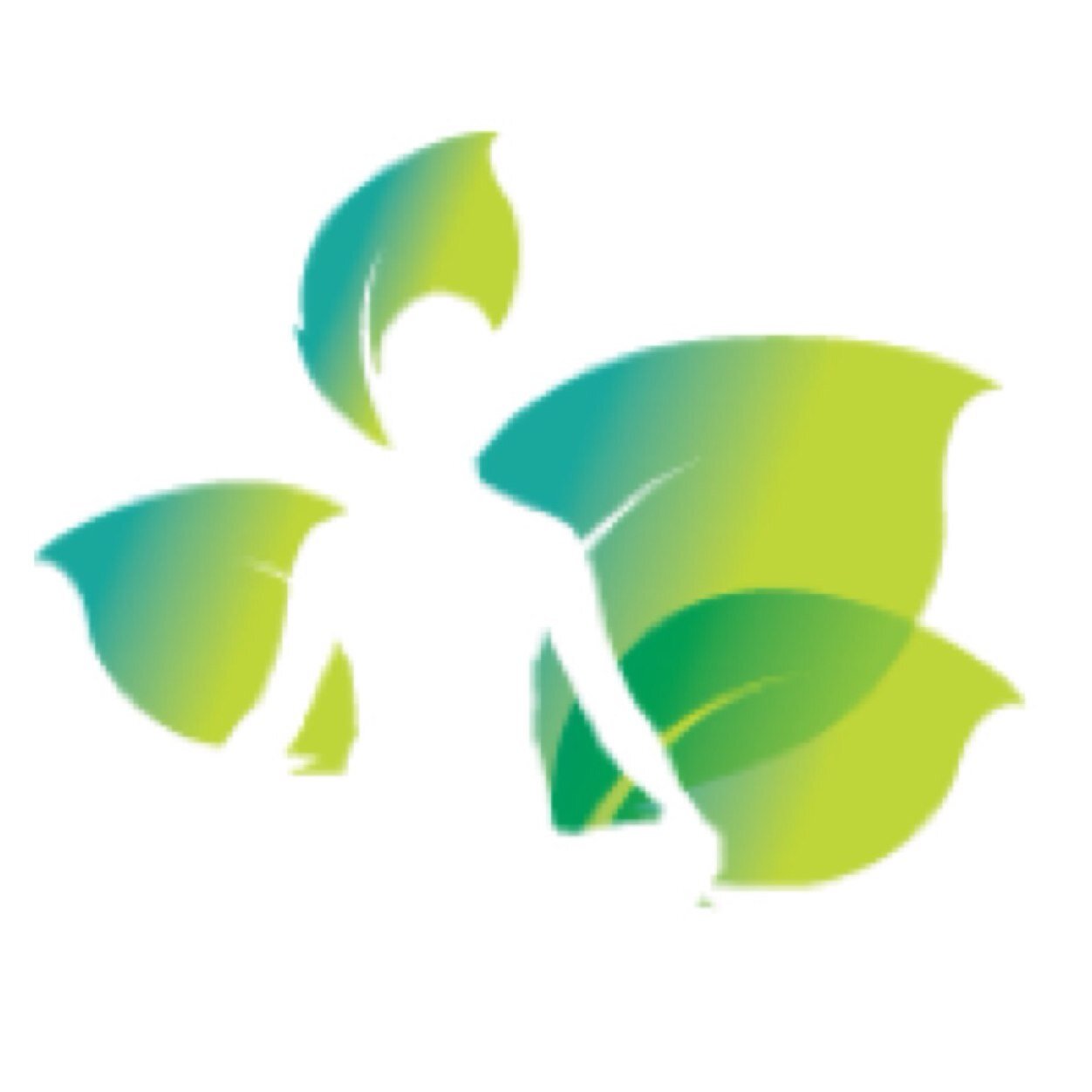 HollieHolistic's profile picture. Hi i'm Hollie Payne a holistic therapist specializing in massage therapy. I love holistic therapy and promoting well being to help you feel the best you can.