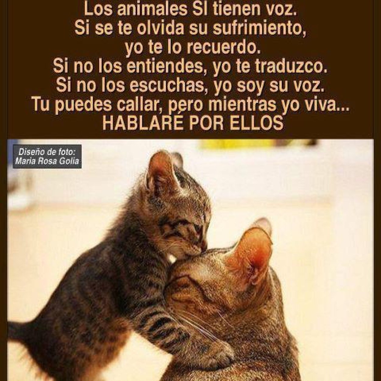 luakara's profile picture. 