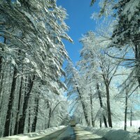 MB MacNeil (@mbmacneil) Twitter profile photo