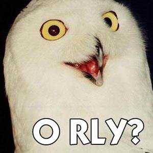 earnsomecoins's profile picture. 