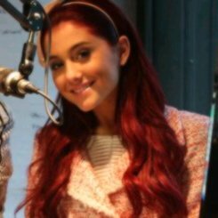 niallsongs's profile picture. 