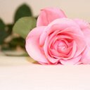 Ruba. (@02537823) Twitter