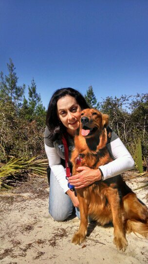 Living my dream and now living in Bozeman, Montana..with my 3 rescue kitties and my sweet rescue Golden Retriever Hanna