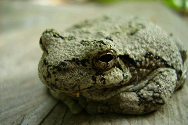 DrakeMaura's profile picture. 