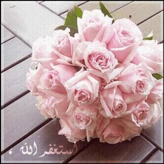 ___32618136's profile picture. علىٰ ما كَآن ؛ الحمدُلله علىٰ مآ يكُون ؛ الحَمدُلله علىٰ مآ سَـ يكُون ؛ الحمدُلله .