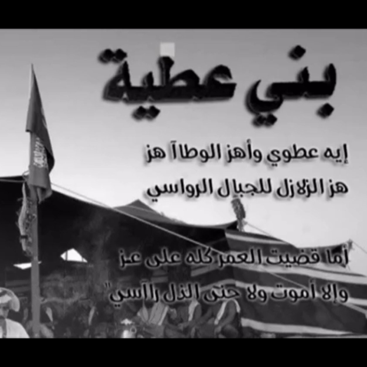 atowi009's profile picture. تبوكك القناص