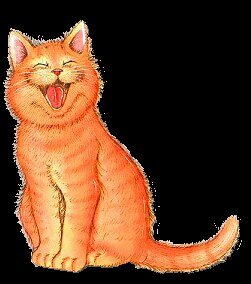if you like cats then we will like you