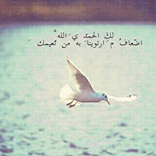 دخـلتـو هيـنا يالله دعـوهَ صـادقـه فـي ظهر غيب لـي ، اللهم إجعل قلبي لك خاشعًا لك ذاكرًا لك تائبًا عليك متوكلا ،و بقضائك راضيًا .