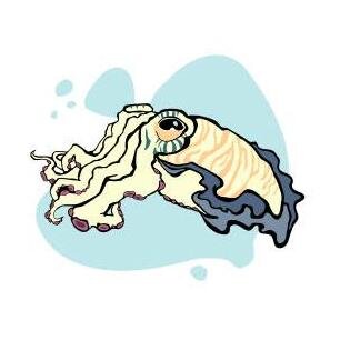 local_wood's profile picture. Recycled, Refurbished, Customized Boards & Painting Design