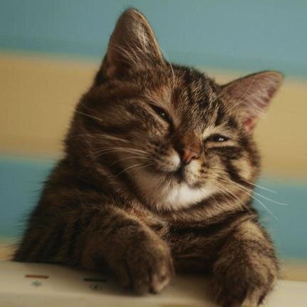 p_etyunya's profile picture. Босх с тобой