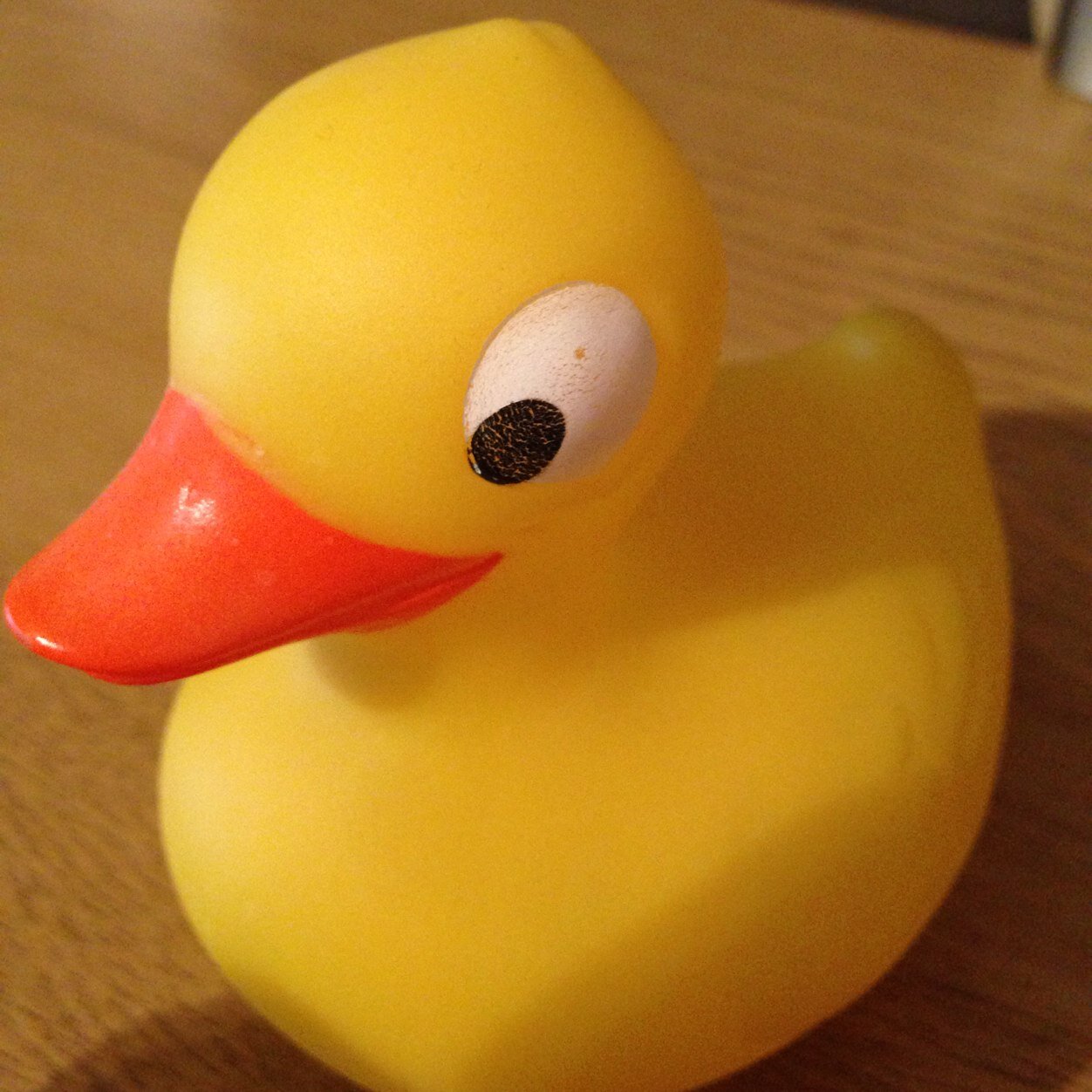 Leaving the nest and heading west!
Big Duck on tour #Duck4Life