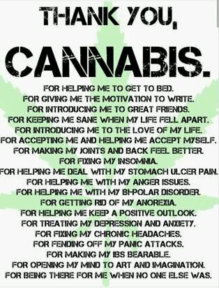 STRAVIOUR's profile picture. .