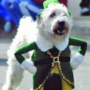 Mackenzie Dickson - @Mackenzie_Dicks - Twitter