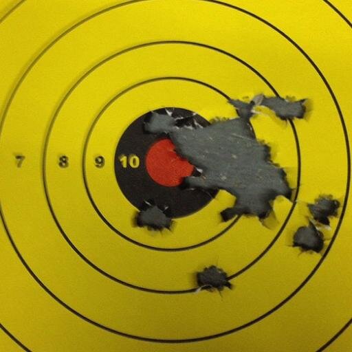 TipsGun's profile picture. Matt is a former reserve deputy sheriff, college educator, NRA Certified Firearms Instructor, martial artist, 2nd Amendment supporter,  American, & proud of it!