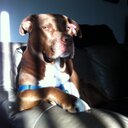 Robert Glenn - @RobGlenn1080 - Twitter