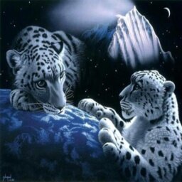 ░░░░░░▀█▀░▄██▄██▄░░▀█▀░█▀▀▄░░░░░░ ░░░░░█░░▀█████▀░░░█░░█▀▀▄░░░░░░ ░░░░░░▄█▄░░░▀█▀░░░█▄█░░█▄▄▀░░░░░░