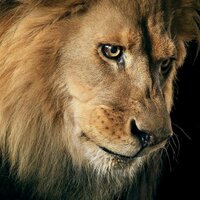 الذوق كله (@otswatmta) 's Twitter Profile