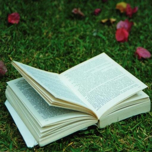 reader, teacher, librarian, learner