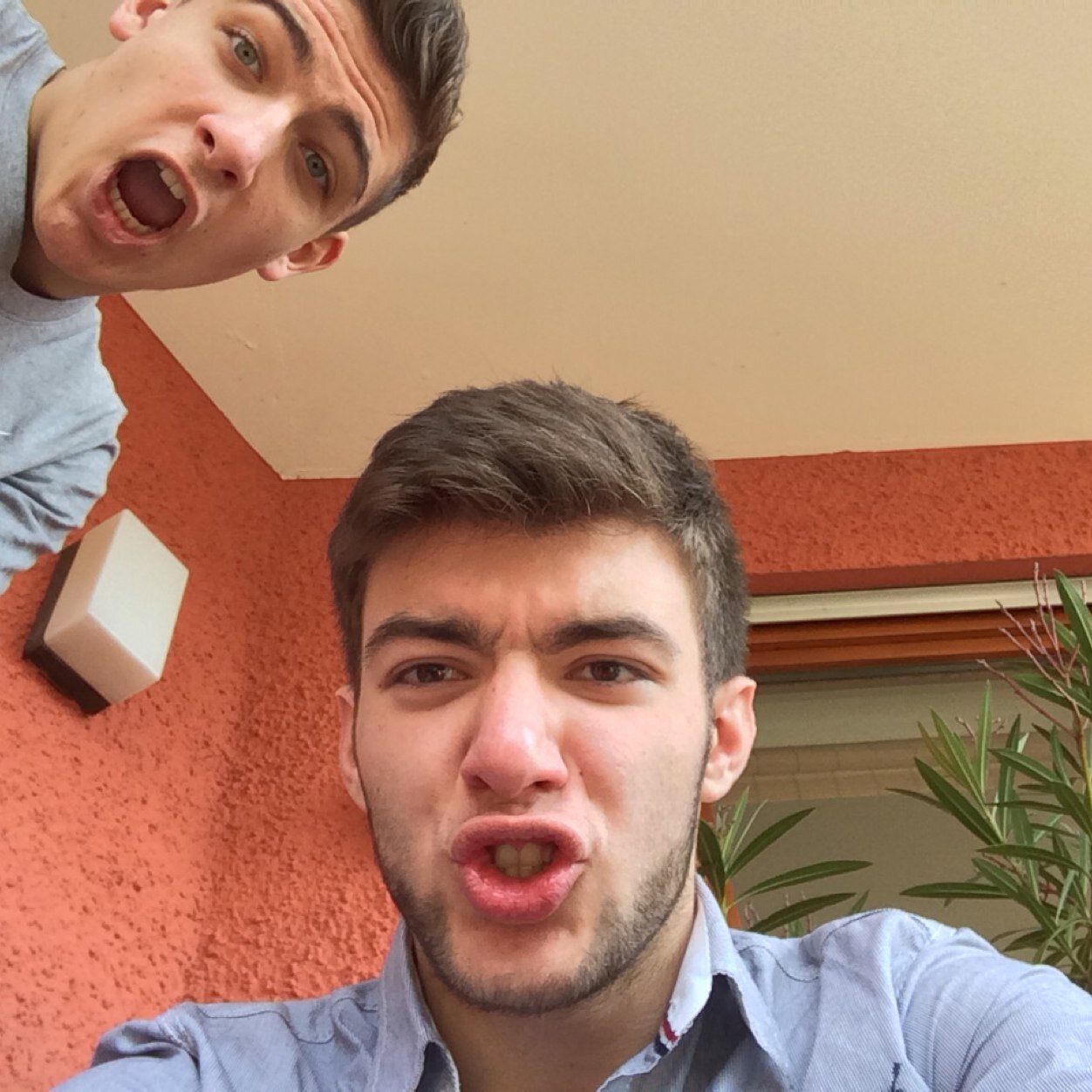 superleolex's profile picture. 