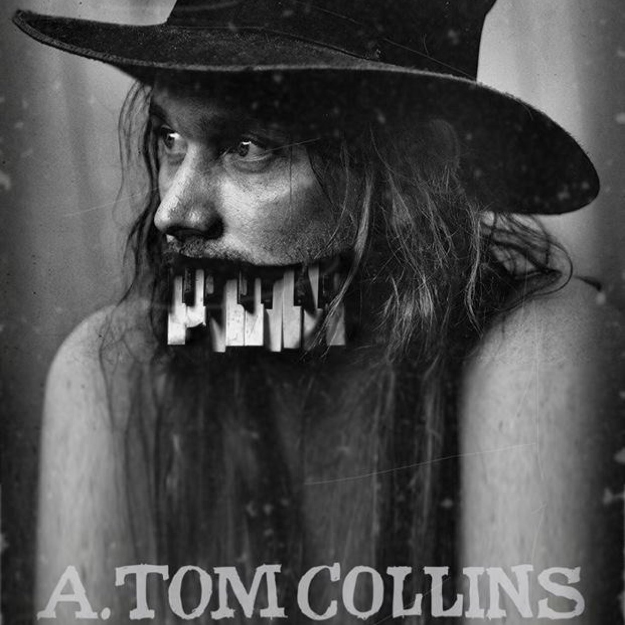 ATomCollinsBand Profile Picture