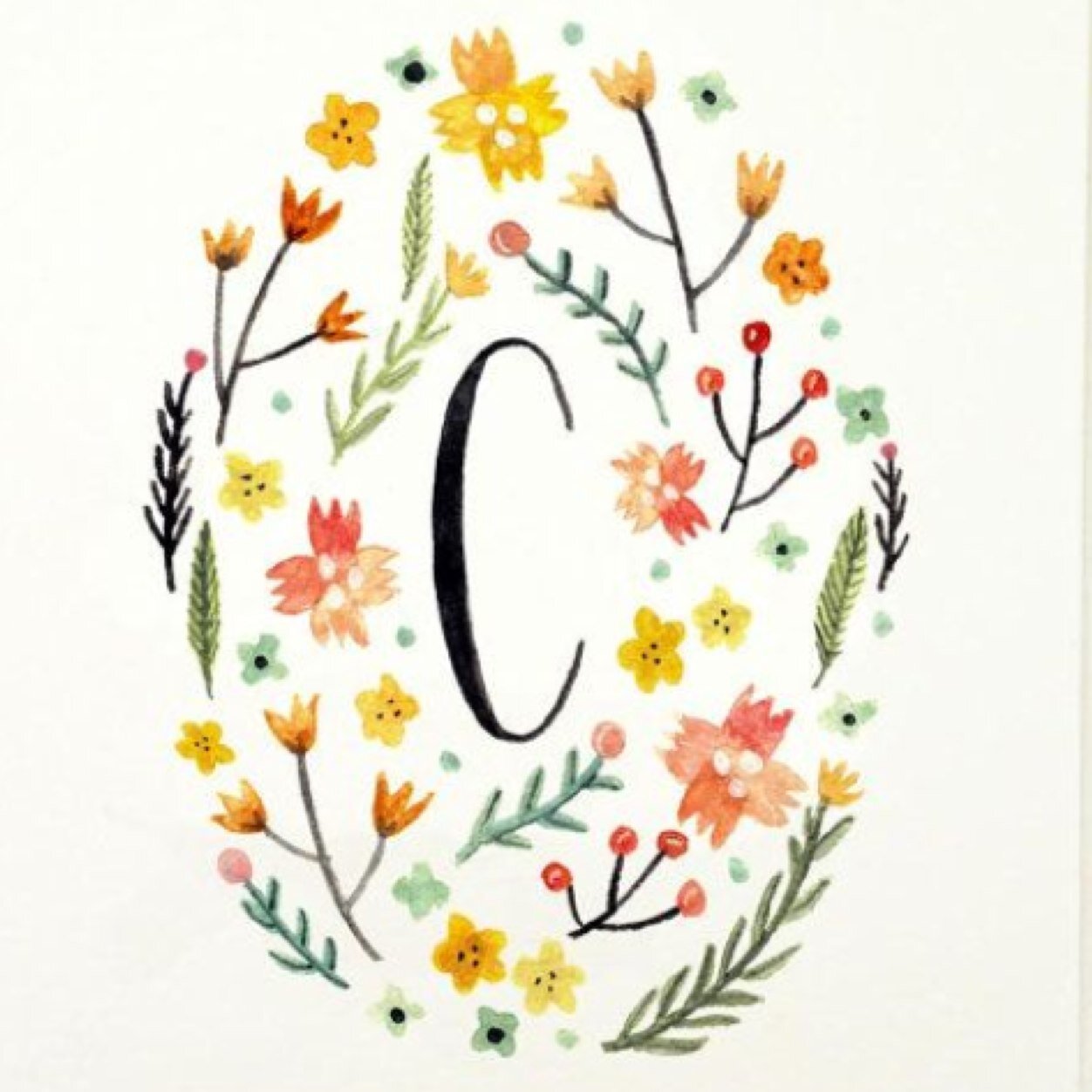 notaNYnative's profile picture. But loving Brooklyn