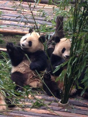 mariagv82's profile picture. 