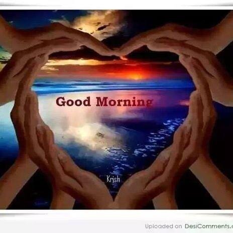 ayoub43146127's profile picture. 