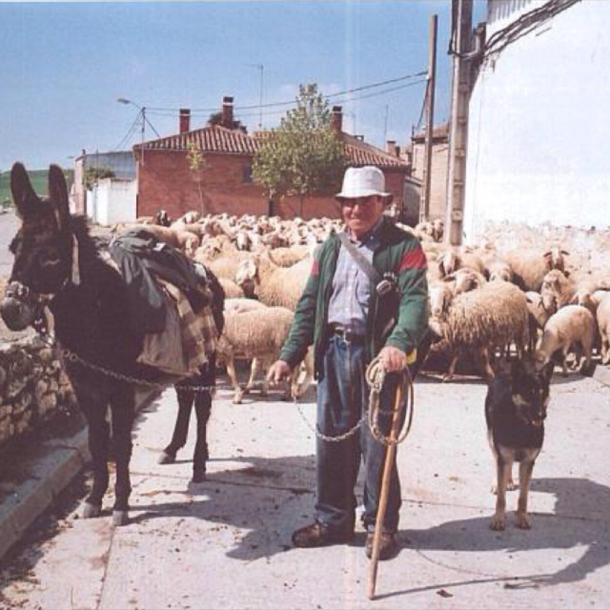 macagon sa puta he tornat i amb mes força que mai. Mi pasion , las putitas batuadell sa medona si sentera, es futbol , i ses matançes Es meu idolo en tomeupenya