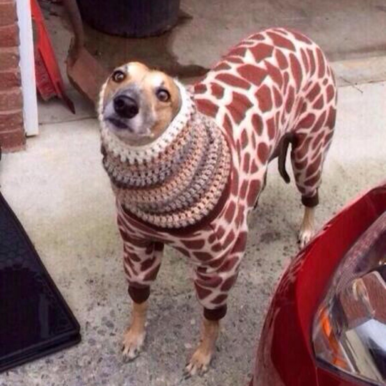 following221's profile picture. 