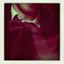 Flrnt Brzzn (@flrnt_brzzn) Twitter profile photo