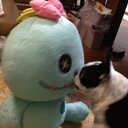 momo (@01181106) Twitter