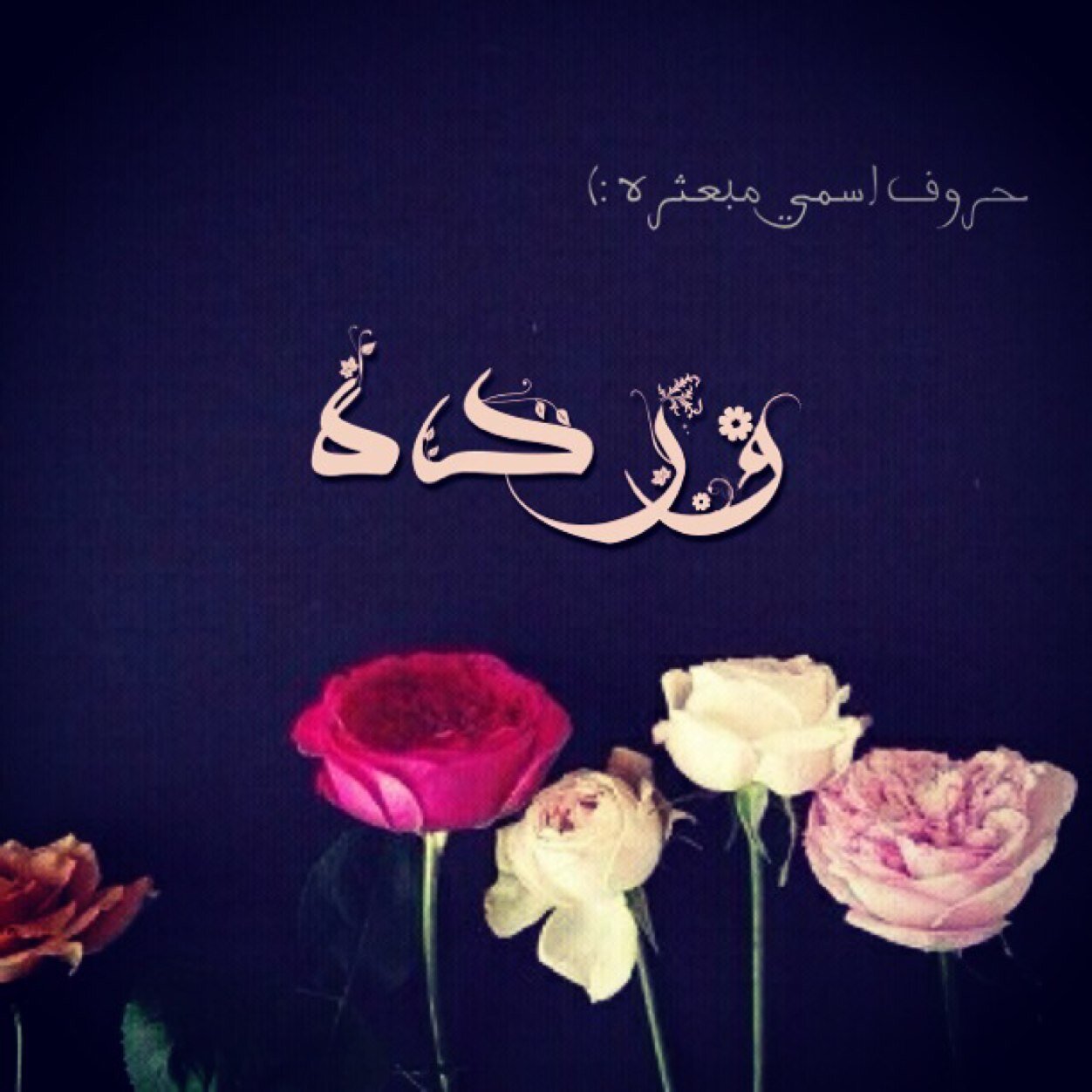 الأملُ وحُسنُ الظَنِ بالله لا يَشِخ ..