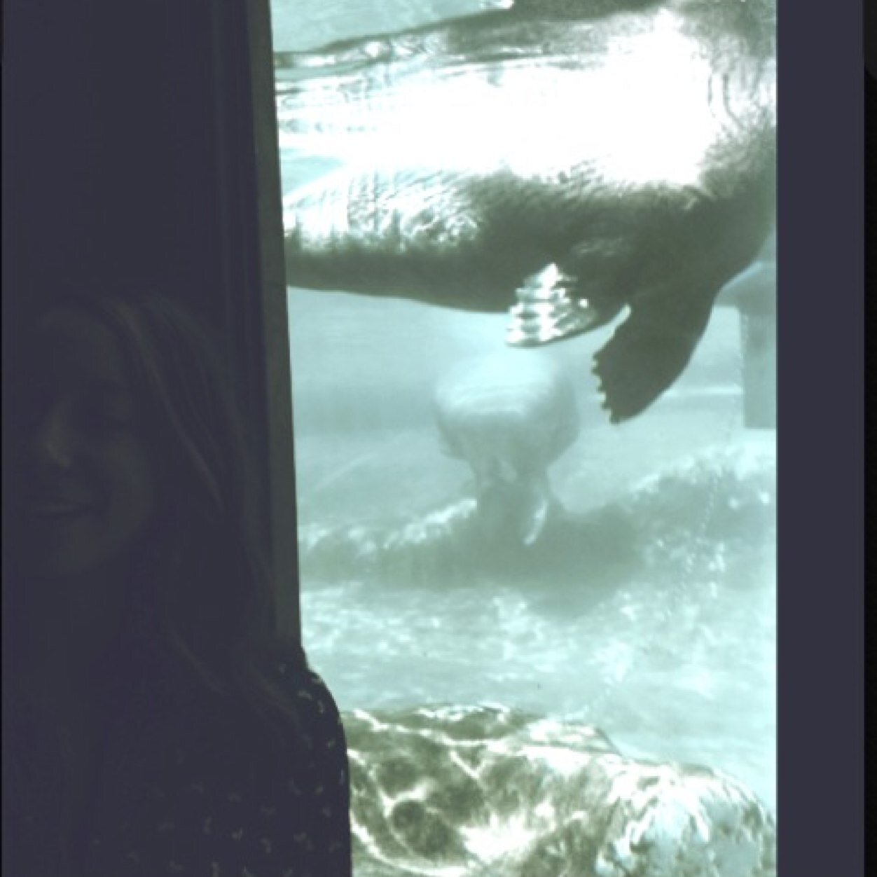 x_sacha96's profile picture. 