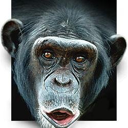 arne_vries's profile picture. 