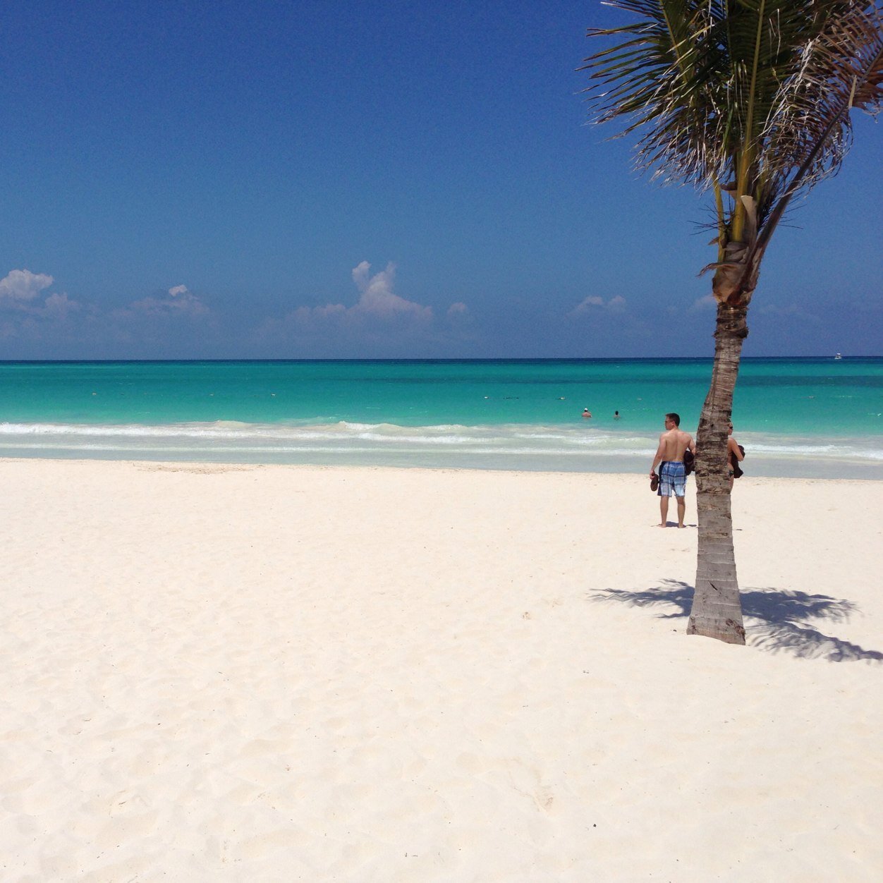 greenychris1's profile picture. 