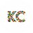 KootenayConfess's profile image
